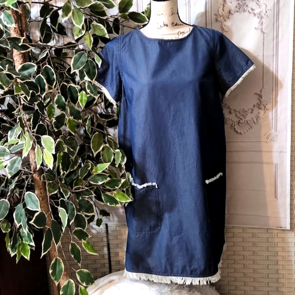 Ann Mashburn Denim Fringe Shift Dress Medium